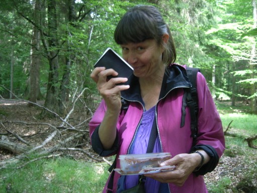 birgitte har fundet en geocache ved en rillesten